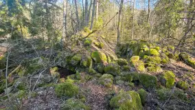 Polowa kwatera Himmlera - marcowy spacer po ruinach - zdjęcie 29