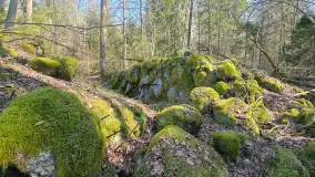 Polowa kwatera Himmlera - marcowy spacer po ruinach - zdjęcie 26