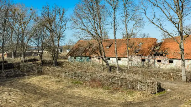 Ruiny pałacu w Mieduniszkach Wielkich, marzec 2026 r. - zdjęcie 2