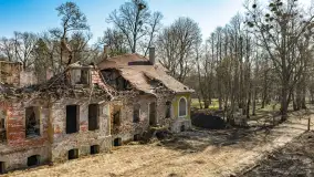 Ruiny pałacu w Mieduniszkach Wielkich, marzec 2026 r. - zdjęcie 11