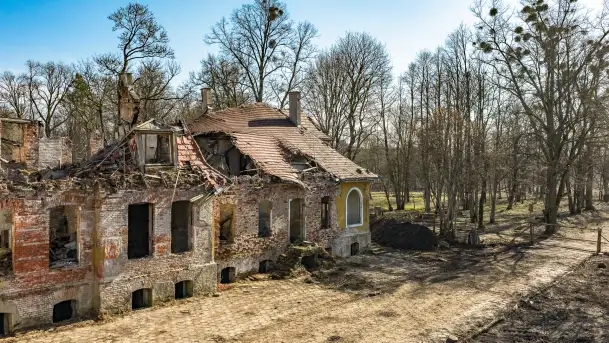 Ruiny pałacu w Mieduniszkach Wielkich, marzec 2026 r. - zdjęcie 11