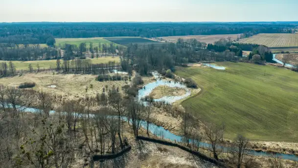 Ruiny pałacu w Mieduniszkach Wielkich, marzec 2026 r. - zdjęcie 3