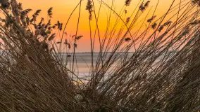 Przedwiośnie i zachód słońca nad Niegocinem, Bystry, marzec 2026 r. - zdjęcie 19