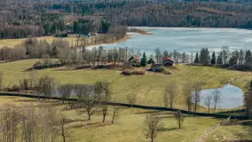 Przedwiośnie nad jeziorem Wolisko, marzec 2026 r. - zdjęcie 2