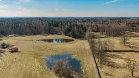 Przedwiośnie nad jeziorem Wolisko, marzec 2026 r. - zdjęcie 16