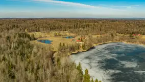 Przedwiośnie nad jeziorem Wolisko, marzec 2026 r. - zdjęcie 12