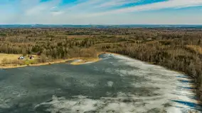 Przedwiośnie nad jeziorem Wolisko, marzec 2026 r. - zdjęcie 7