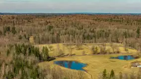 Przedwiośnie nad jeziorem Wolisko, marzec 2026 r. - zdjęcie 20