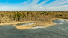 Przedwiośnie nad jeziorem Wolisko, marzec 2026 r. - zdjęcie 3