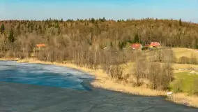 Przedwiośnie nad jeziorem Wolisko, marzec 2026 r. - zdjęcie 15