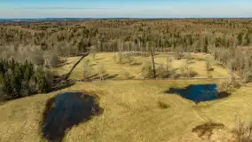 Przedwiośnie nad jeziorem Wolisko, marzec 2026 r. - zdjęcie 6