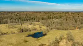 Przedwiośnie nad jeziorem Wolisko, marzec 2026 r. - zdjęcie 18