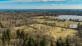 Przedwiośnie nad jeziorem Wolisko, marzec 2026 r. - zdjęcie 13