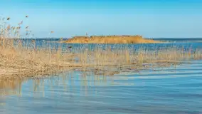 Wiosenna wersja portu w Popielnie, jezioro Śniardwy - zdjęcie 4