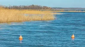 Wiosenna wersja portu w Popielnie, jezioro Śniardwy - zdjęcie 13