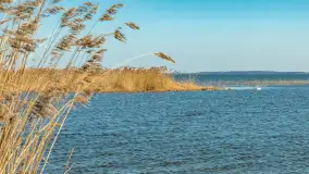 Wiosenna wersja portu w Popielnie, jezioro Śniardwy - zdjęcie 21