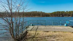 Wiosna w Wierzbie, kwiecień 2026 r. - zdjęcie 35