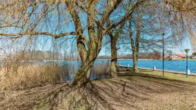 Wiosna w Wierzbie, kwiecień 2026 r. - zdjęcie 9