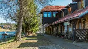 Wiosna w Wierzbie, kwiecień 2026 r. - zdjęcie 2