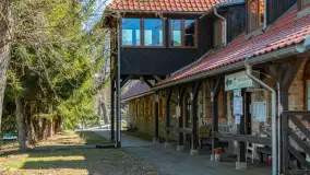 Wiosna w Wierzbie, kwiecień 2026 r. - zdjęcie 26