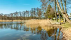 Wiosna w Wierzbie, kwiecień 2026 r. - zdjęcie 28