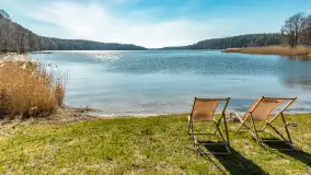 Wiosna w Wierzbie, kwiecień 2026 r. - zdjęcie 41