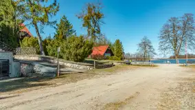 Wiosna w Wierzbie, kwiecień 2026 r. - zdjęcie 30