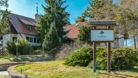 Wiosna w Wierzbie, kwiecień 2026 r. - zdjęcie 16