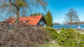 Wiosna w Wierzbie, kwiecień 2026 r. - zdjęcie 13