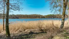 Wiosna w Wierzbie, kwiecień 2026 r. - zdjęcie 40