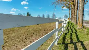 Koniki Polskie w Stacji Badawczej w Popielnie, kwiecień 2026 r. - zdjęcie 15