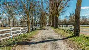 Koniki Polskie w Stacji Badawczej w Popielnie, kwiecień 2026 r. - zdjęcie 49