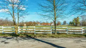 Koniki Polskie w Stacji Badawczej w Popielnie, kwiecień 2026 r. - zdjęcie 39