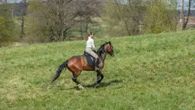 Wiosenna przejażdżka po mazurskich łąkach, kwiecień 2026 r. - zdjęcie 11