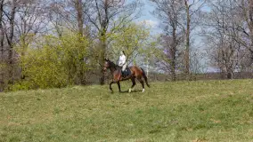 Wiosenna przejażdżka po mazurskich łąkach, kwiecień 2026 r. - zdjęcie 16