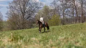 Wiosenna przejażdżka po mazurskich łąkach, kwiecień 2026 r. - zdjęcie 9