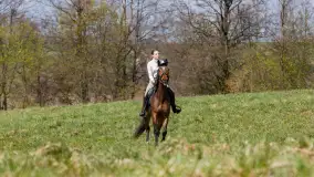 Wiosenna przejażdżka po mazurskich łąkach, kwiecień 2026 r. - zdjęcie 22