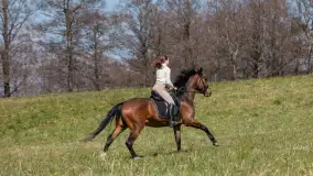 Wiosenna przejażdżka po mazurskich łąkach, kwiecień 2026 r. - zdjęcie 5