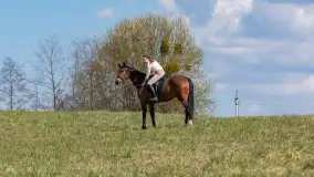 Wiosenna przejażdżka po mazurskich łąkach, kwiecień 2026 r. - zdjęcie 10