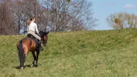 Wiosenna przejażdżka po mazurskich łąkach, kwiecień 2026 r. - zdjęcie 25