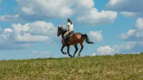 Wiosenna przejażdżka po mazurskich łąkach, kwiecień 2026 r. - zdjęcie 2