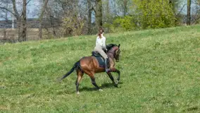 Wiosenna przejażdżka po mazurskich łąkach, kwiecień 2026 r. - zdjęcie 8