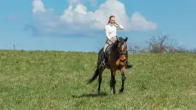 Wiosenna przejażdżka po mazurskich łąkach, kwiecień 2026 r. - zdjęcie 23