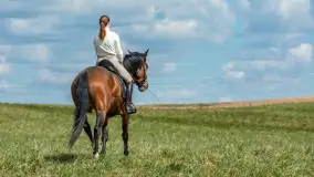 Wiosenna przejażdżka po mazurskich łąkach, kwiecień 2026 r. - zdjęcie 17