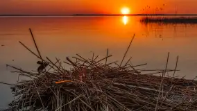 Zachód słońca nad jeziorem Dargin, kwiecień 2026 r. - zdjęcie 4