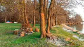 Zachód słońca nad jeziorem Dargin, kwiecień 2026 r. - zdjęcie 12