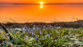 Zachód słońca nad jeziorem Dargin, kwiecień 2026 r. - zdjęcie 3