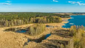 Wiosna nad jeziorem Guber z lotu ptaka, kwiecień 2026 r. - zdjęcie 25