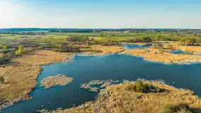 Wiosna nad jeziorem Guber z lotu ptaka, kwiecień 2026 r. - zdjęcie 30