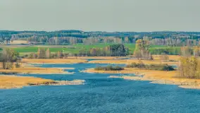 Wiosna nad jeziorem Guber z lotu ptaka, kwiecień 2026 r. - zdjęcie 20